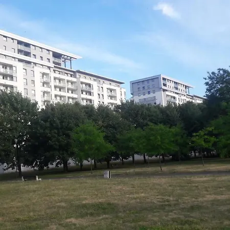 Awiator Delta *